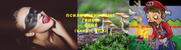 метамфетамин Богданович