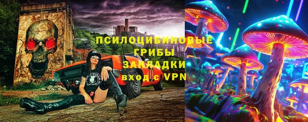 дживик Богородицк