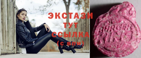 дживик Богородицк