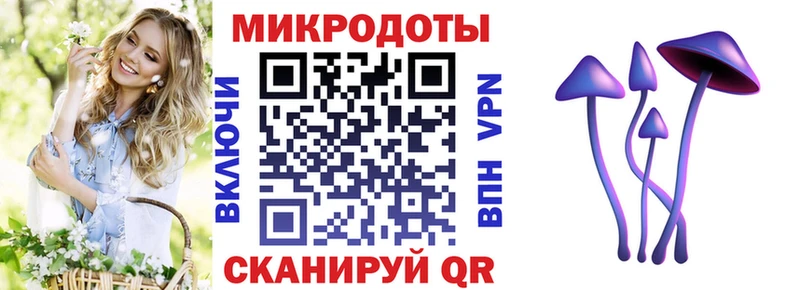 Псилоцибиновые грибы ЛСД  Юрьев-Польский 
